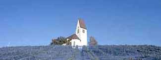 The church in Bendern surrounded by vineyards